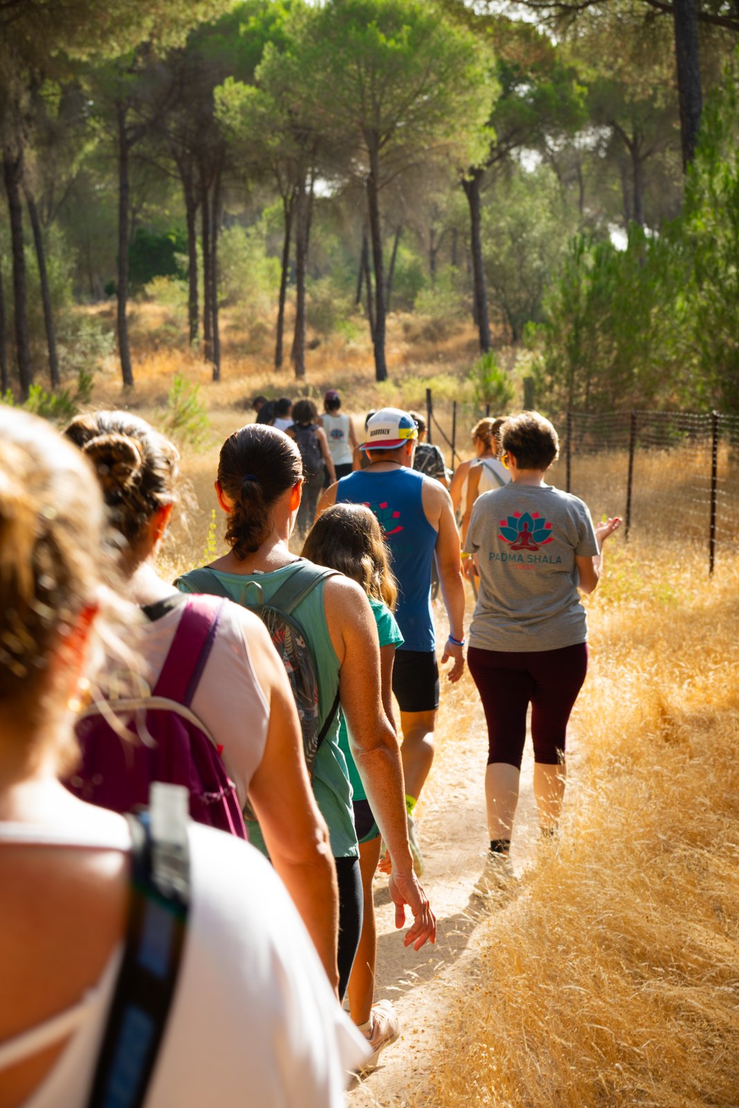 Caminata deportiva al aire libre entre árboles
